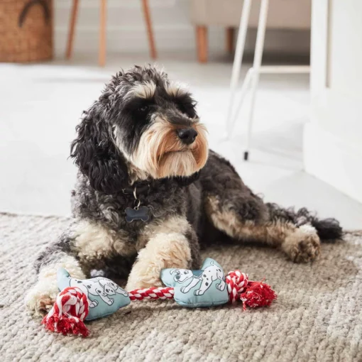 Disney Store Jouet à Mâcher Les 101 Dalmatiens Pour Chiens -Disney 465042418341 1