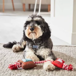 Disney Store Jouet à Mâcher "Pawsitively Adorable" Les 101 Dalmatiens Pour Chiens -Disney 465042418426 1