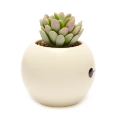 Disney Store Plante Artificielle En Pot Baymax, Les Nouveaux Héros -Disney 465043353962 3