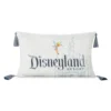 Disneyland Resort Coussin Disney100 Celebration -Disney 465043583154